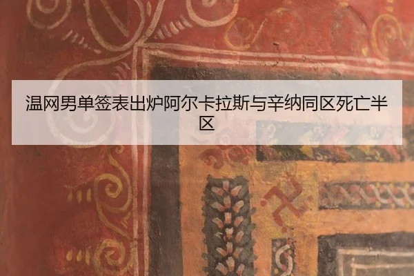 wen-wang-nan-dan-qian-biao-chu-lu-a-er-ka-la-si-yu-xin-na-tong-qu-si-wang-ban-qu-3-202.jpg